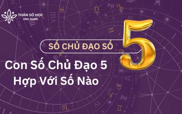 Số Chủ Đạo 5 Hợp Với Số Nào