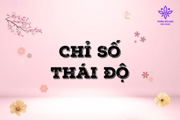 Cách tính chỉ số thái độ