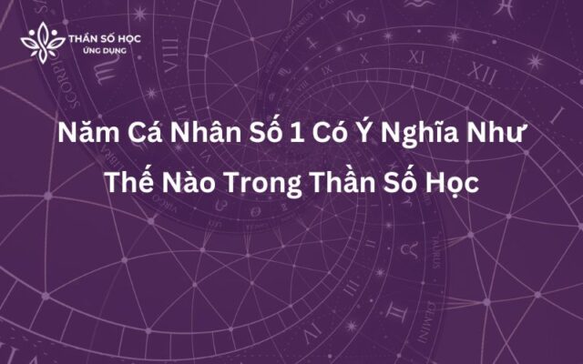 Năm Cá Nhân Số 1 Có Ý Nghĩa Như Thế Nào Trong Thần Số Học