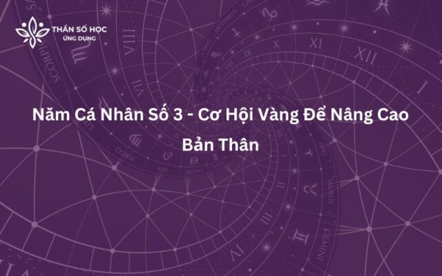 Năm Cá Nhân Số 3 - Cơ Hội Vàng Để Nâng Cao Bản Thân