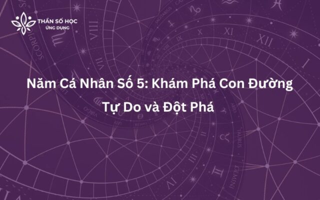 Năm cá nhân số 5: Khám phá con đường tự do và đột phá