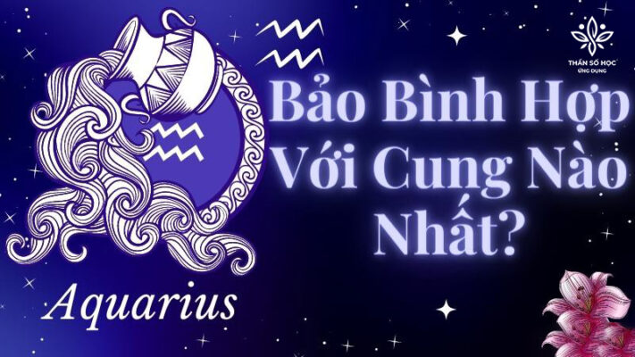 Cung Bảo Bình hợp với cung nào