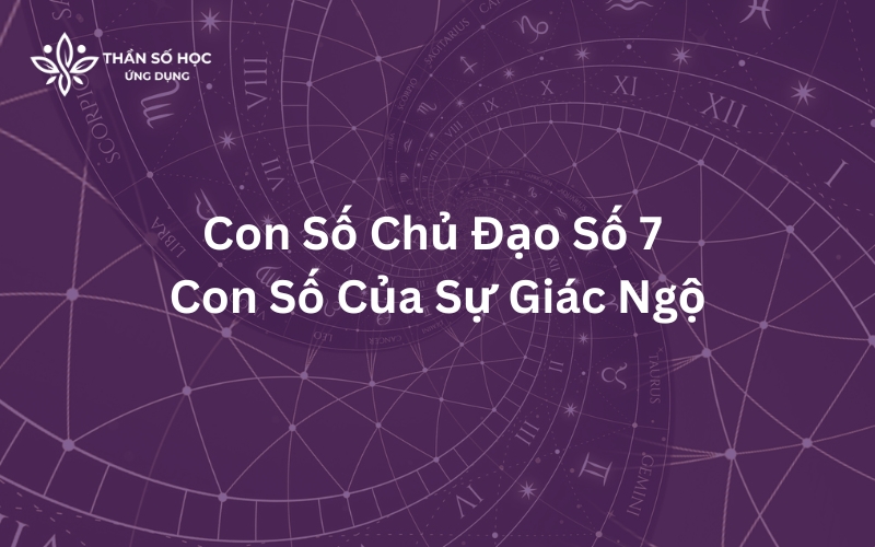 Con Số Chủ Đạo Số 7 | Con Số Của Sự Giác Ngộ