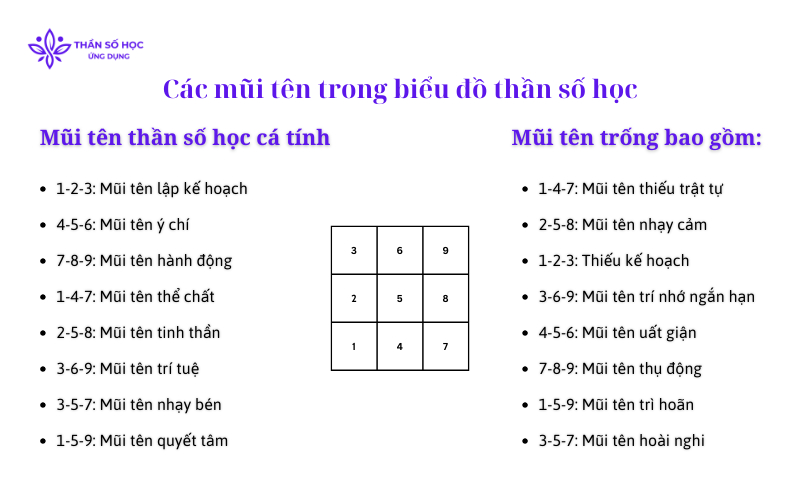 Các mũi tên trong biểu đồ thần số học