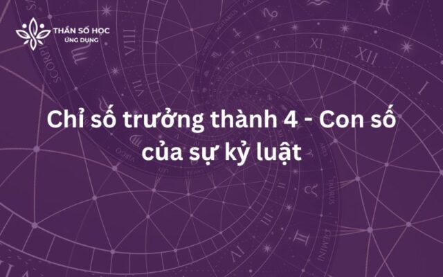 Chỉ số trưởng thành 4 - Con số của sự kỷ luật