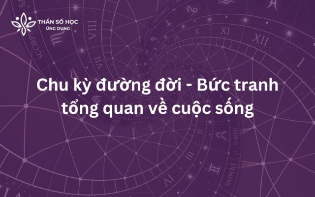Chu kỳ đường đời - Bức tranh tổng quan về cuộc sống