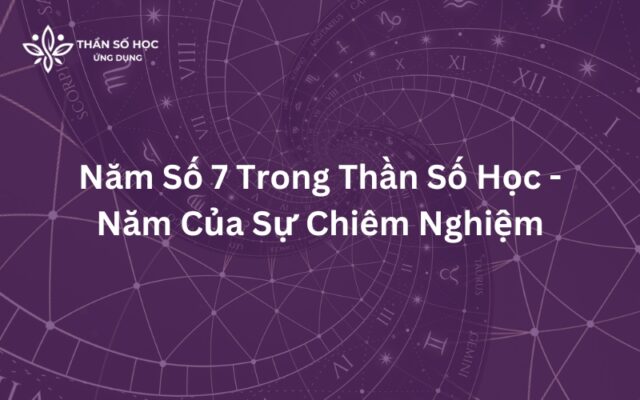 Năm Số 7 Trong Thần Số Học - Năm Của Sự Chiêm Nghiệm