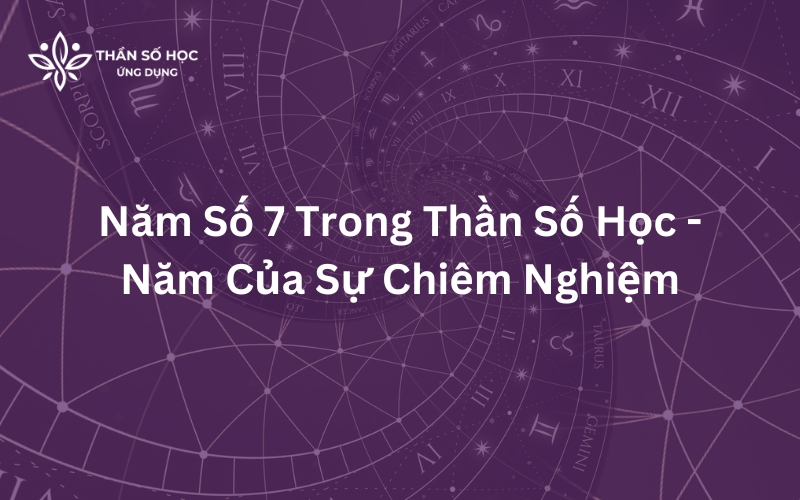 Năm Số 7 Trong Thần Số Học - Năm Của Sự Chiêm Nghiệm
