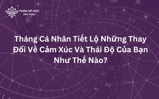 Tháng Cá Nhân Tiết Lộ Những Thay Đổi Về Cảm Xúc Và Thái Độ Của Bạn Như Thế Nào