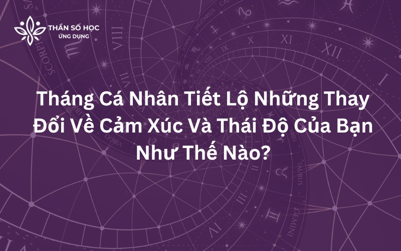 Tháng Cá Nhân Tiết Lộ Những Thay Đổi Về Cảm Xúc Và Thái Độ Của Bạn Như Thế Nào