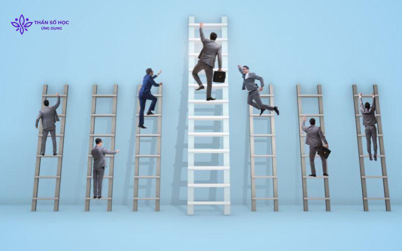 Con đường sự nghiệp của người mang chỉ số sứ mệnh 6