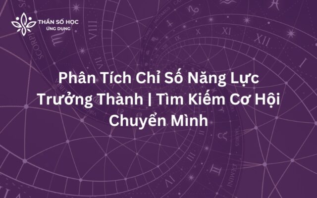 Phân tích chỉ số năng lực trưởng thành | Tìm kiếm cơ hội chuyển mình