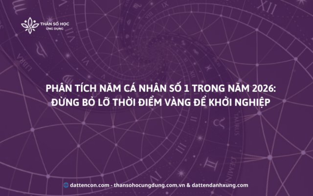 Phân Tích Năm Cá Nhân Số 1 Trong Năm 2026 Đừng Bỏ Lỡ Thời Điểm Vàng Để Khởi Nghiệp 